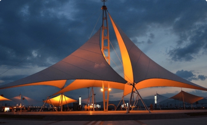 膜结构是什么？？？